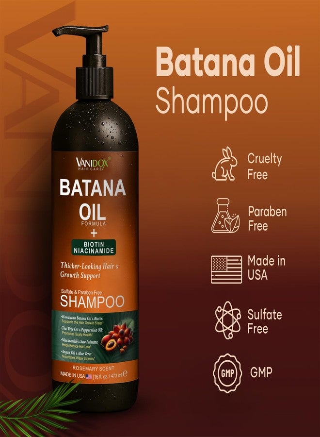 VANIDOX Batana Oil Shampoo – Biotin & Niacinamide Infused – Supports Thicker-Looking Hair – Moisturizing & Nourishing for Thinning Hair and Scalp Care – Sulfate-Free, 16 fl oz - Image 2